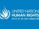 2021 UN Human Rights Fellowship Programme for people of African descent